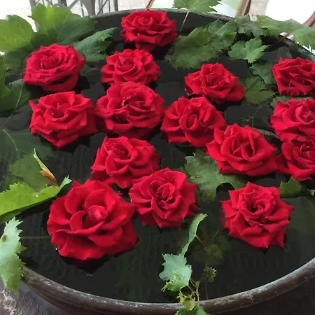 Eveline 2 - Piscina Privata O Jacuzzi Hotel Sanremo